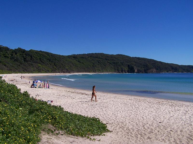 seal-rocks 040.jpg